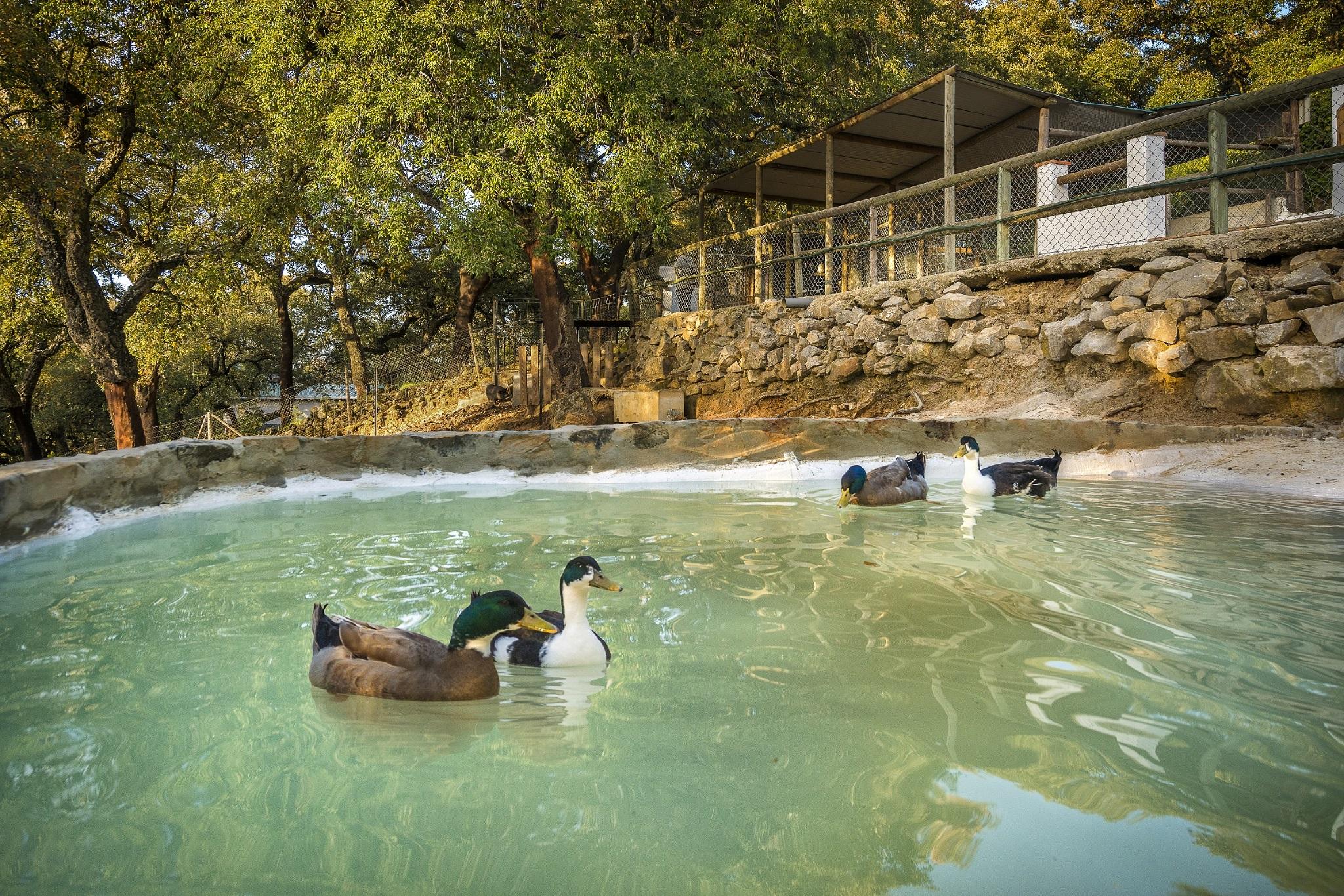 Hotel Fuerte Grazalema Luaran gambar