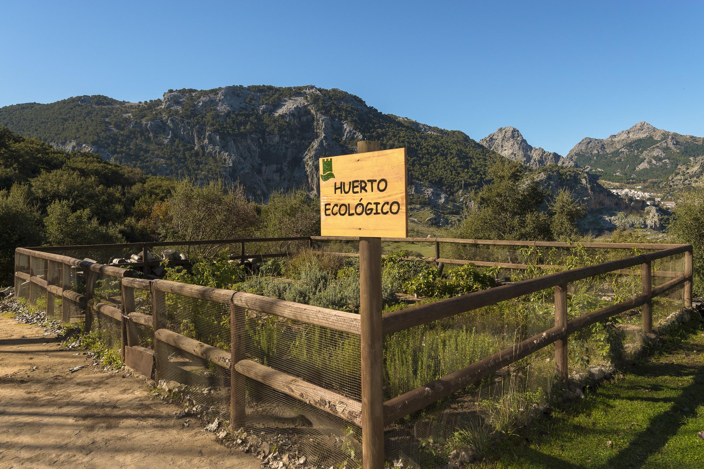 Hotel Fuerte Grazalema Luaran gambar